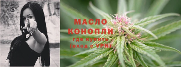 сатива Армянск