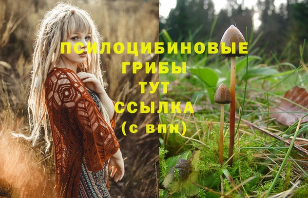 молекула духа Аркадак