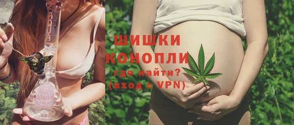 молекула духа Аркадак
