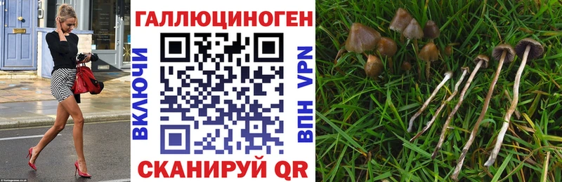 Псилоцибиновые грибы мухоморы Давлеканово
